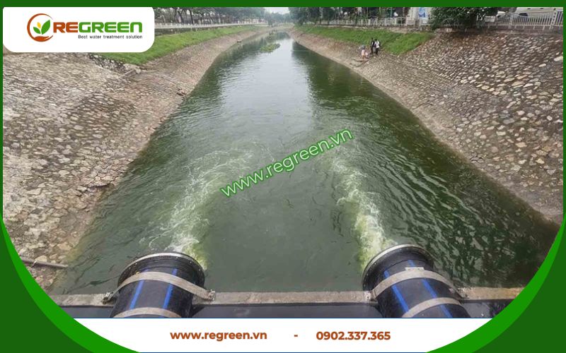 Thực trạng ô nhiễm cần xử lý nước thải Quận 9.