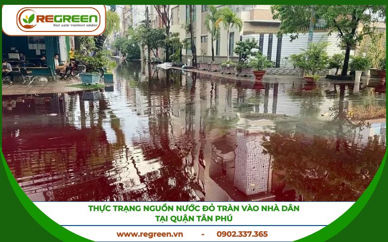 Thực trạng ô nhiễm cần xử lý nước thải Quận Tân Phú.