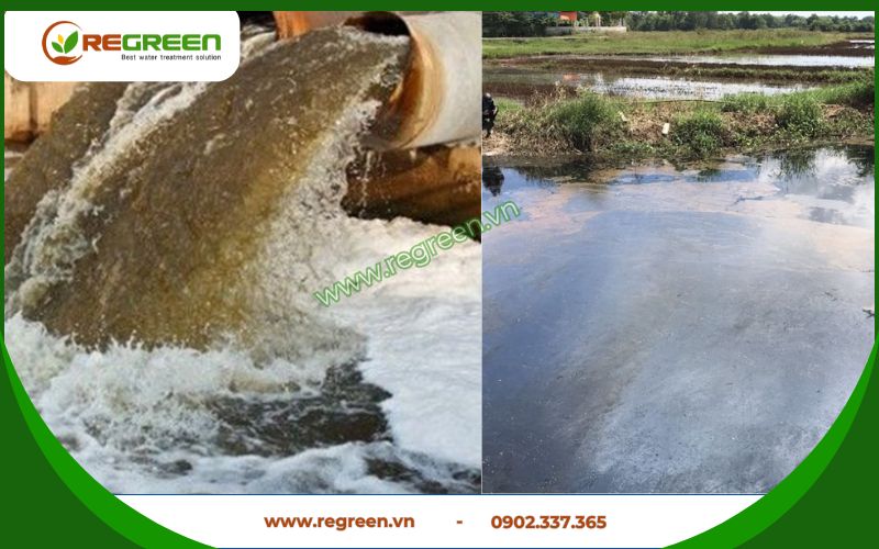 Nguồn nước ô nhiễm cần xử lý nước thải Quảng Nam.