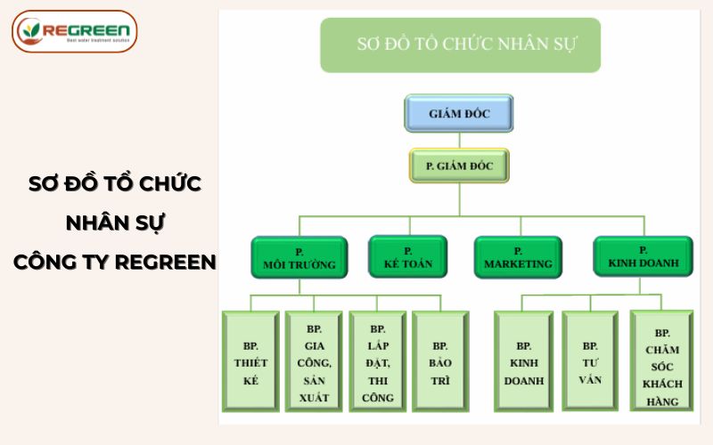 Sơ đồ tổ chức bộ máy nhân sự Regreen Việt Nam