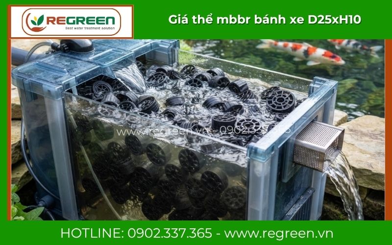 Ứng dụng giá thể MBBR trong xử lý nước thải hồ cá KOI