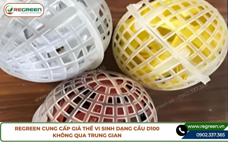 Regreen cung cấp giá thể vi sinh dạng cầu D100 không qua trung gian