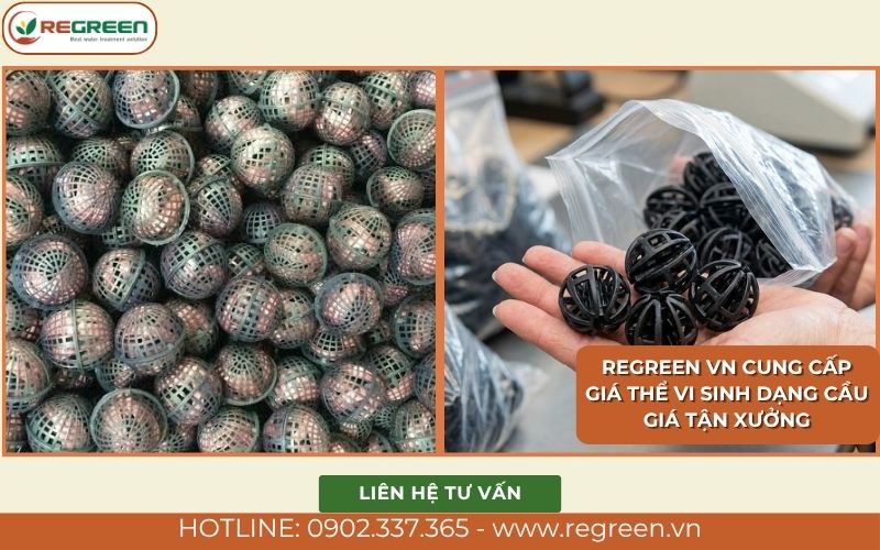 Regreen VN cung cấp giá thể vi sinh dạng cầu giá tận xưởng
