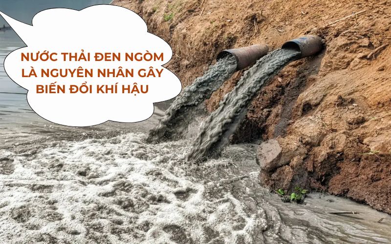 Nước xả thải chưa xử lý - nguyên nhân gây biến đổi khí hậu.
