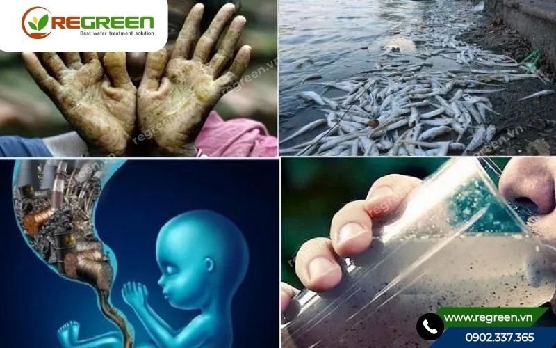 Hậu quả từ dẫn chứng về ô nhiễm môi trường hiện nay