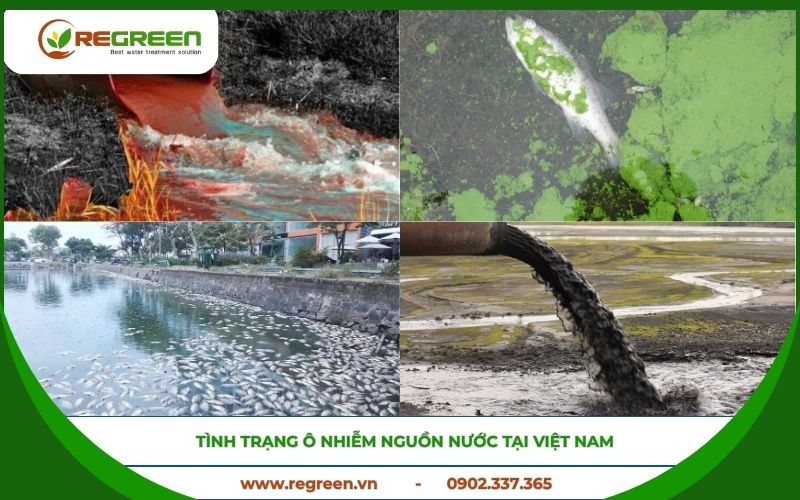 Tình trạng ô nhiễm nguồn nước tại Việt Nam