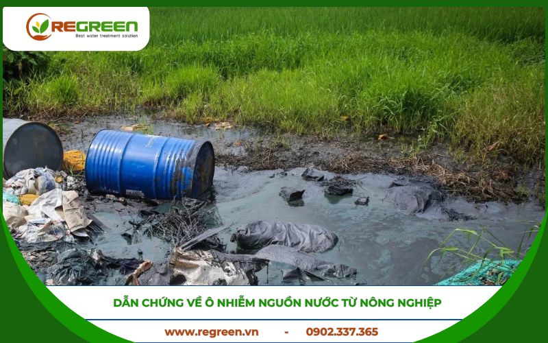 Dẫn chứng về ô nhiễm nguồn nước từ nông nghiệp