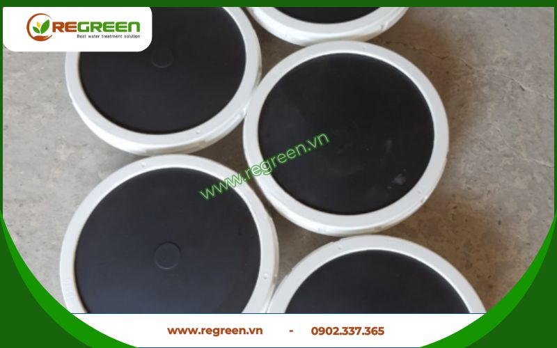 Đĩa thổi khí chính hãng Regreen Việt Nam.