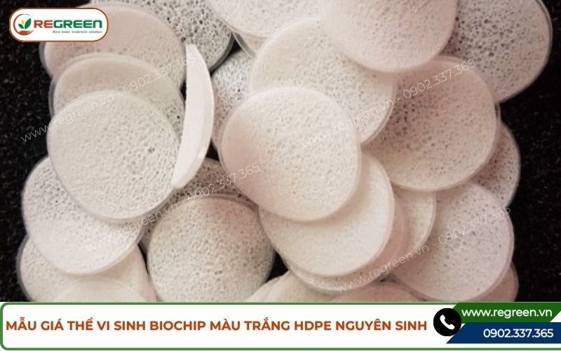 Mẫu giá thể vi sinh Biochip màu trắng HDPE nguyên sinh.