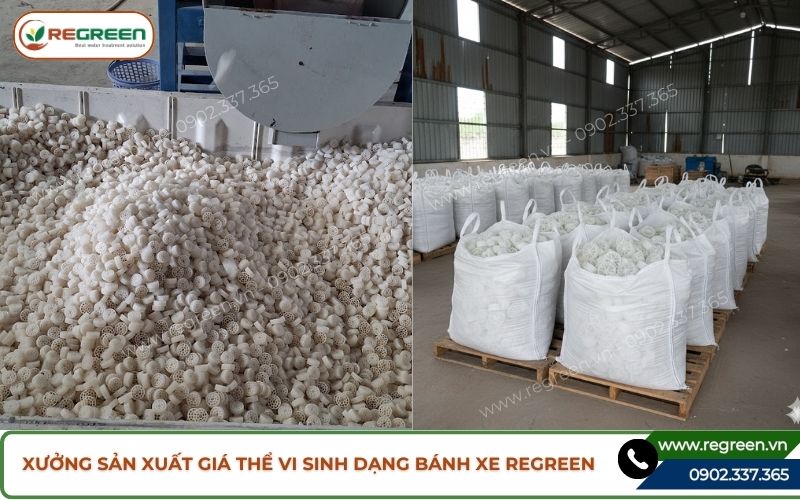 Xưởng sản xuất giá thể vi sinh dạng bánh xe Regreen