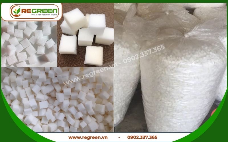 Regreen Việt Nam - đơn vị cung cấp giá thể vi sinh dạng mút xốp.