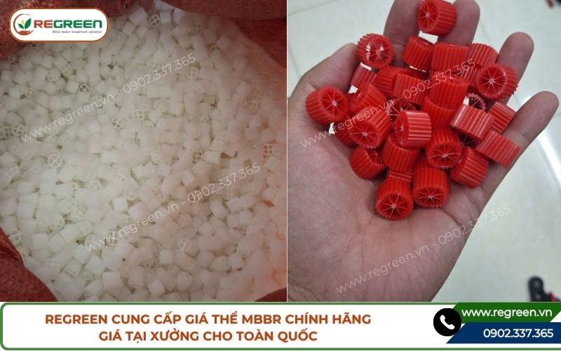 Regreen cung cấp giá thể MBBR chính hãng cho toàn quốc