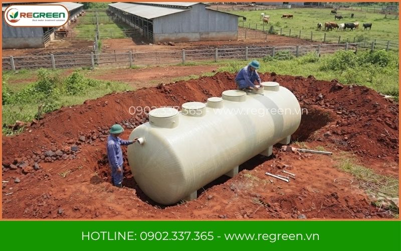 Regreen Việt Nam tổng thầu EPC xử lý nước thải chăn nuôi bò