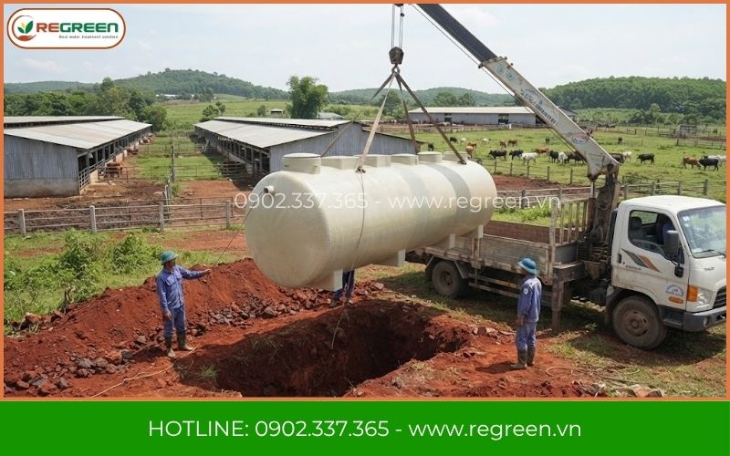 Cẩu hạ định vị module bồn xử lý nước thải chăn nuôi bò