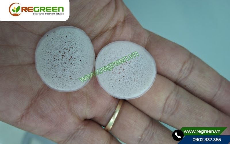 Cận cảnh giá thể Biochip VN
