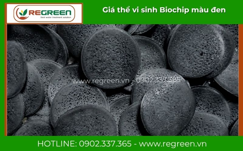 Giá thể vi sinh Biochip màu đen chính hãng Regreen