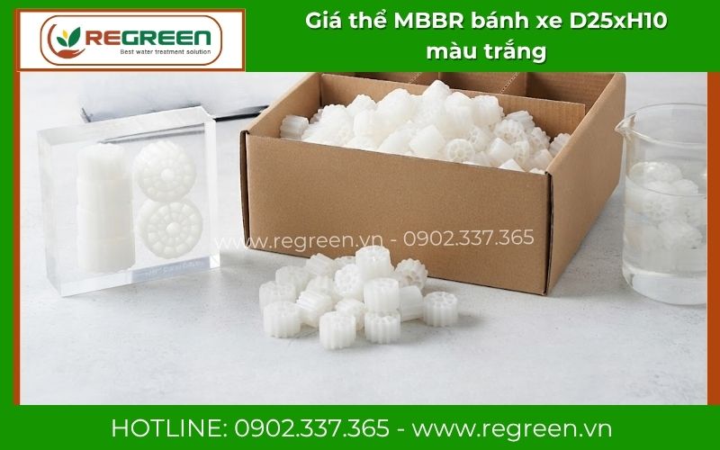 Cấu trúc 19 lỗ rỗng của giá thể MBBR model RG-BXT-25