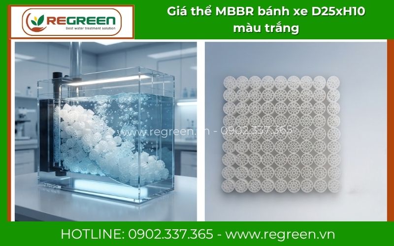 Giá thể MBBR D25xH10 xử lý Nitơ và Amoni trong nước thải sinh hoạt