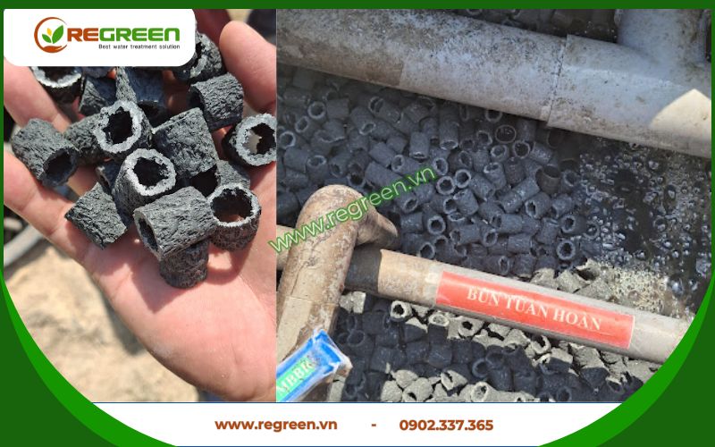 Cách chọn giá thể vi sinh phù hợp với hệ thống xử lý nước thải