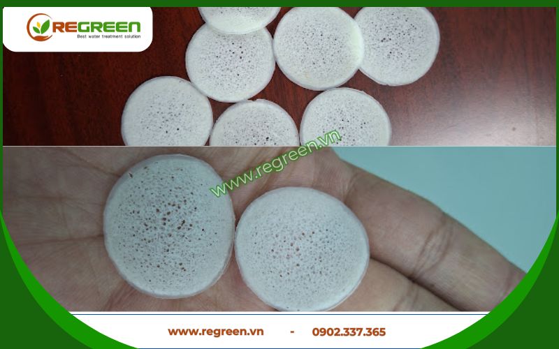 Regreen Việt Nam chuyển cung cấp giá thể vi sinh chính hãng