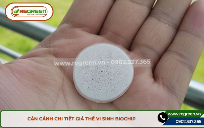 Cận cảnh cấu tạo giá thể vi sinh biochip dạng dẹt.