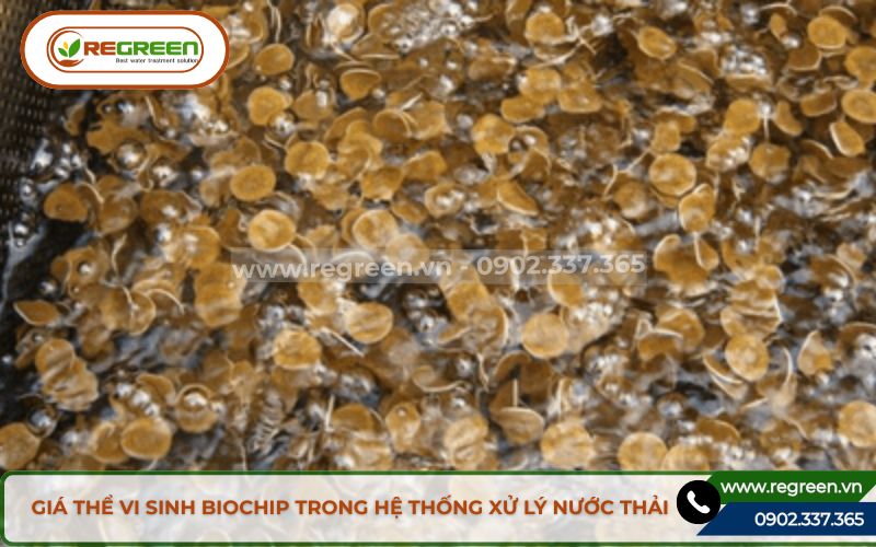 Xử lý nước thải dệt nhuộm bằng giá thể vi sinh biochip.