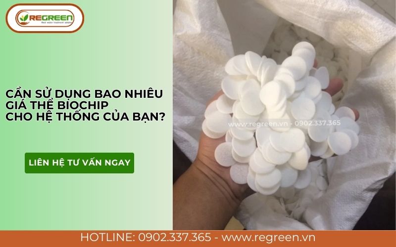 Cách tính khối lượng giá thể vi sinh biochip cần dùng.