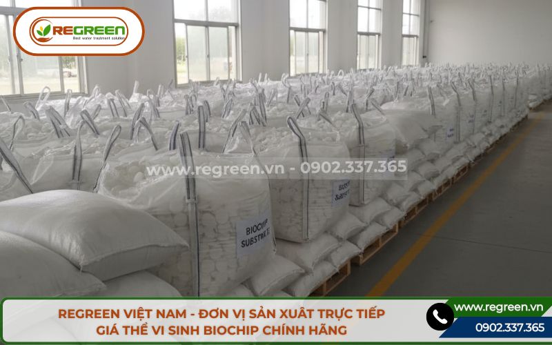 Mua giá thể vi sinh biochip uy tín tại Regreen.