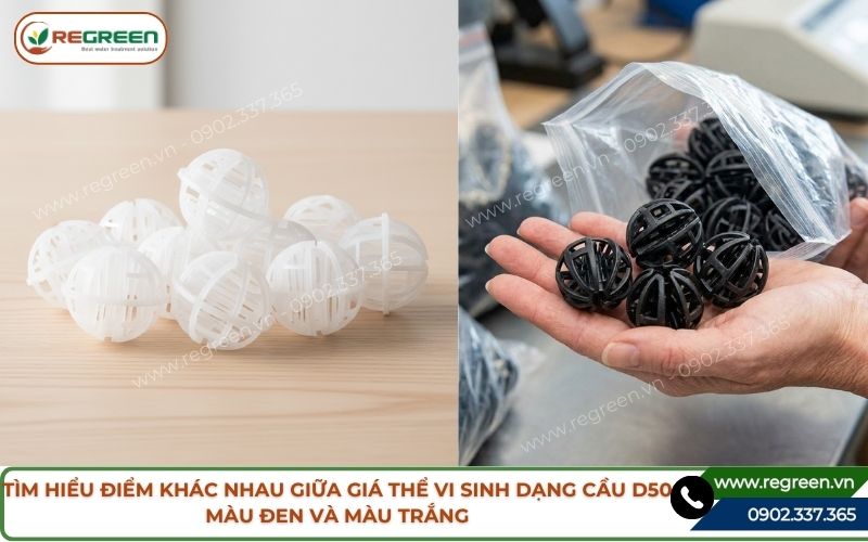 Giá thể vi sinh dạng cầu D50 màu đen và màu trắng khác nhau gì?