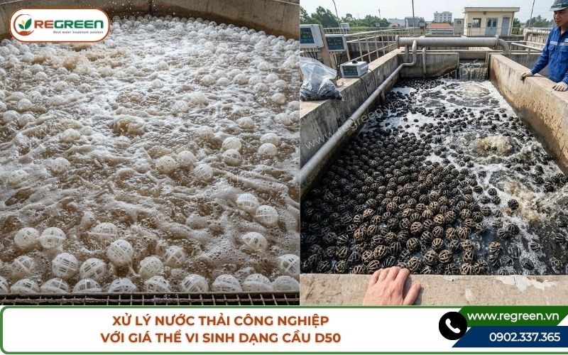 Xử lý nước thải công nghiệp với giá thể vi sinh dạng cầu D50
