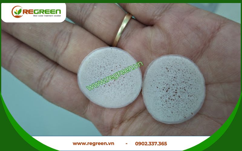 Cận cảnh cấu trúc của giá thể vi sinh MBBR.