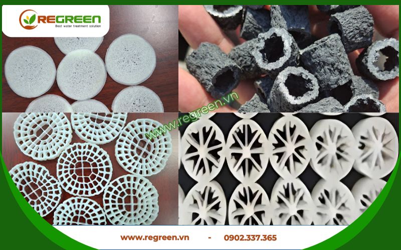 Các loại giá thể vi sinh MBBR phổ biến hiện nay.