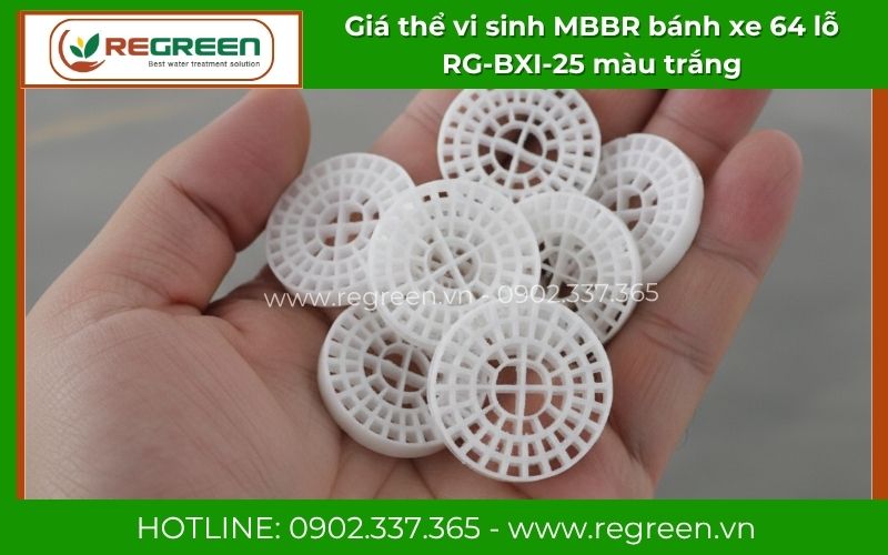 Giá thể vi sinh MBBR bánh xe 64 lỗ RG-BXI-25 màu trắng Regreen