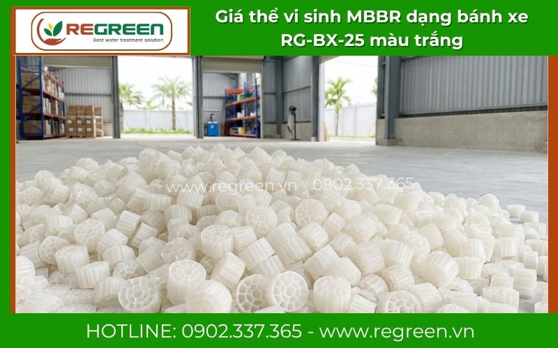 Giá thể vi sinh MBBR dạng bánh xe RG-BX-25 màu trắng