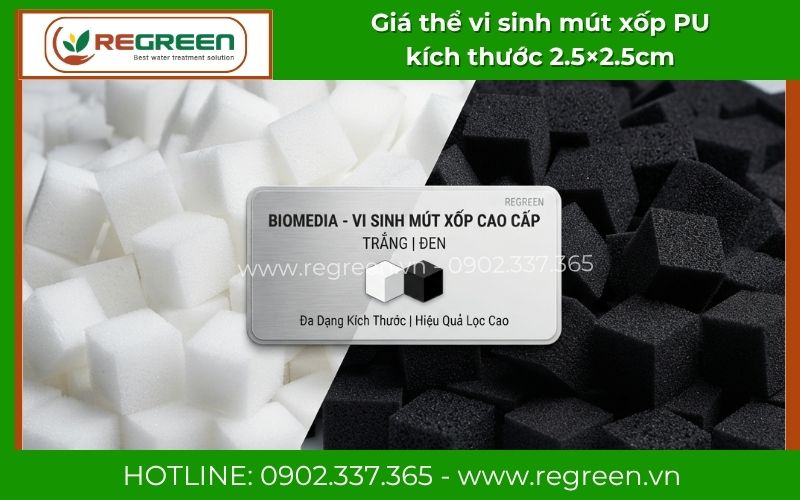 Regreen đơn vị sản xuất giá thể vi sinh mút xốp uy tín