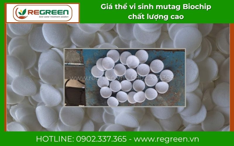 Cung cấp giá thể vi sinh mutag Biochip giá tốt tận gốc cho dự án