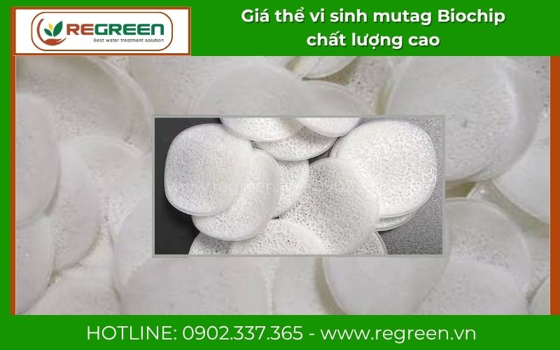 Lô sản xuất giá thể vi sinh mutag Biochip mới nhất tại Regreen Việt Nam