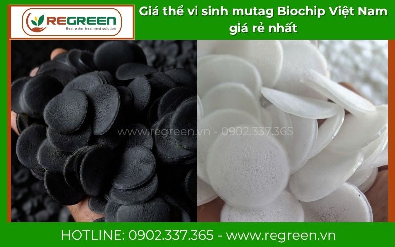 Mẫu giá thể vi sinh mutag Biochip Việt Nam thương hiệu Regreen