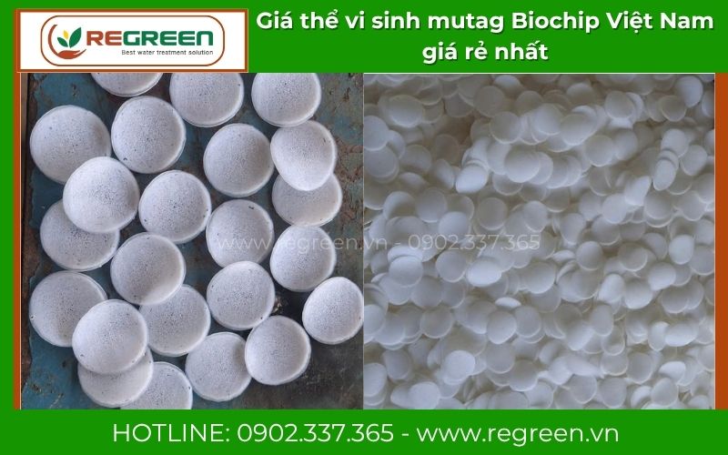 Hình ảnh thực tế giá thể vi sinh mutag Biochip màu trắng