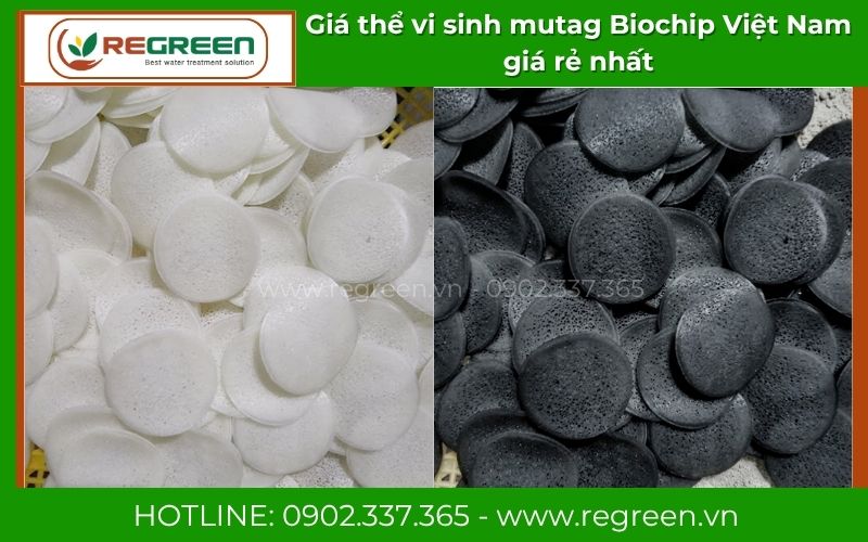 Cận cảnh bề mặt giá thể vi sinh mutag Biochip màu đen & trắng