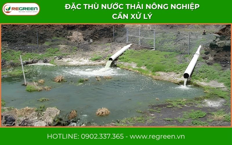 Đặc thù dòng thải tác động đến hệ thống xử lý nước thải nông nghiệp