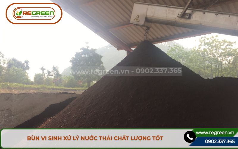 Bùn vi sinh xử lý nước thải chất lượng tốt.
