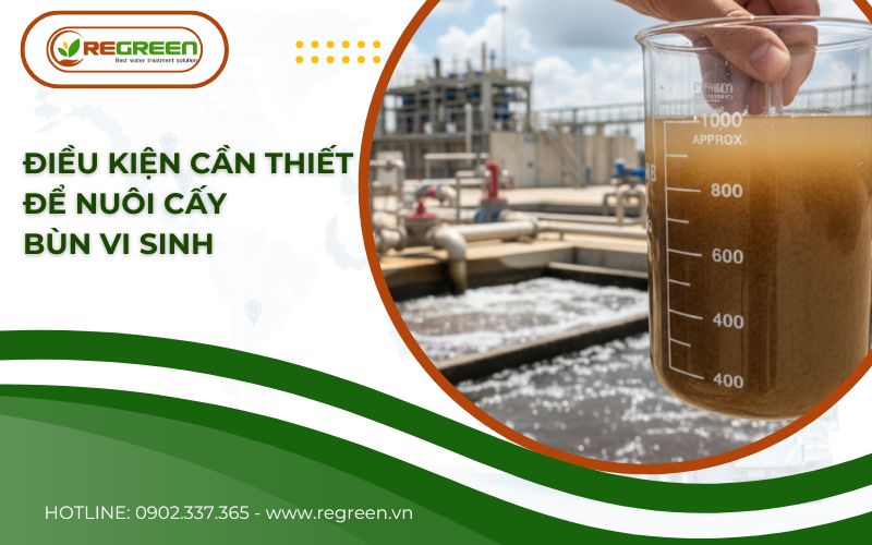 Điều kiện nuôi cấy bùn vi sinh hiếu khí.