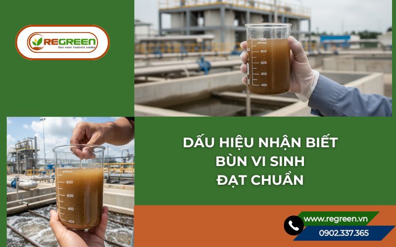 Dấu hiệu nhận biết bùn vi sinh hiếu khí đạt chuẩn.
