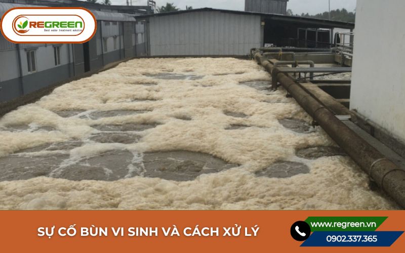 Sự cố bùn vi sinh và cách xử lý.