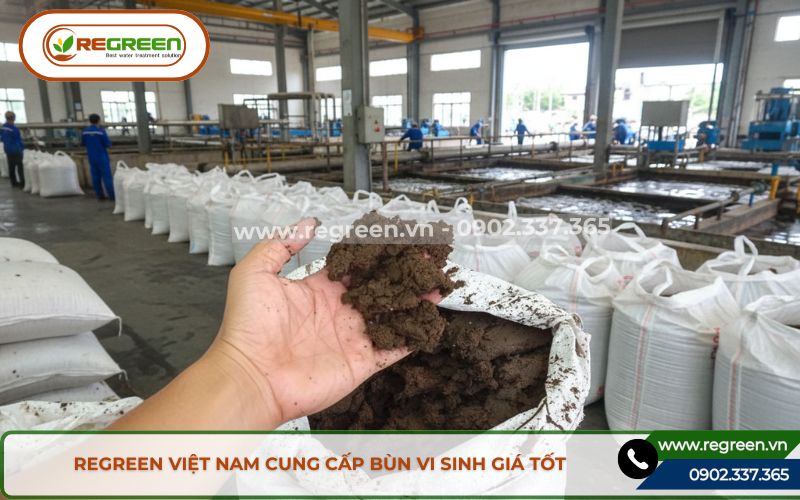 Sản phẩm bùn vi sinh chất lượng cao của Regreen Việt Nam.