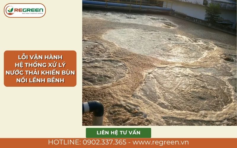 Lỗi vận hành hệ thống xử lý nước thải khiến bùn nổi lềnh bềnh.