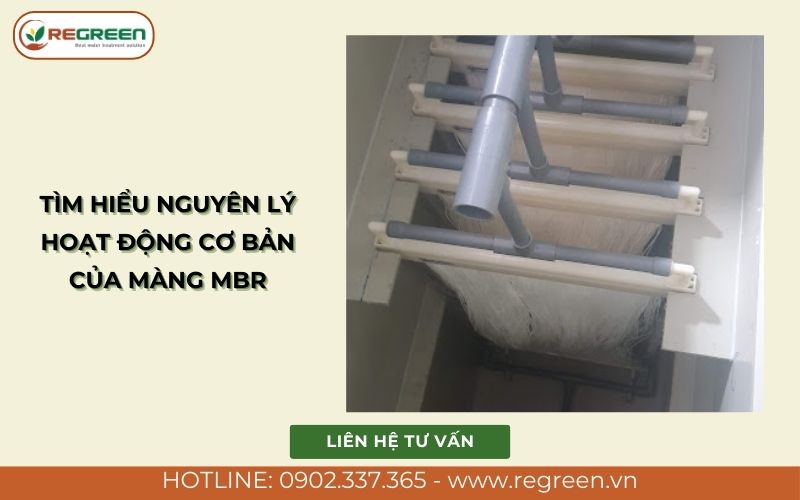 Tìm hiểu nguyên lý hoạt động cơ bản của màng MBR