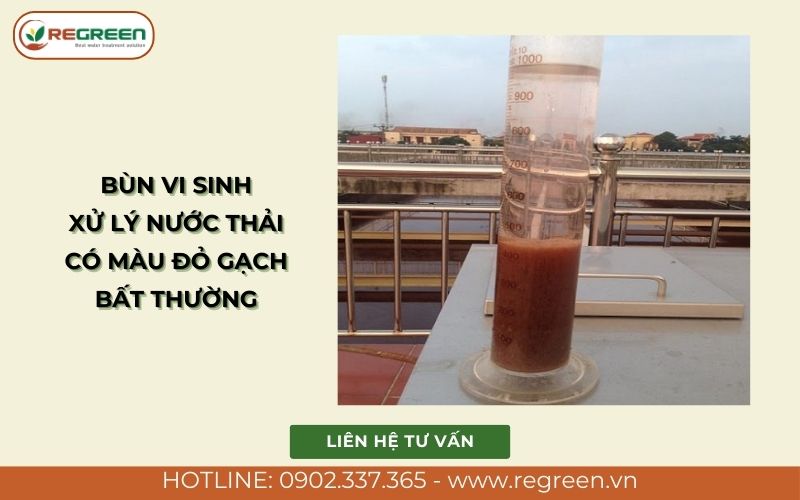 Bùn vi sinh xử lý nước thải có màu đỏ gạch bất thường.