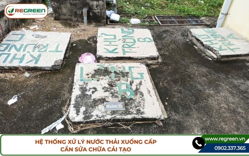 Kỹ sư Regreen khảo sát để sửa chữa hệ thống xử lý nước thải tại chỗ.